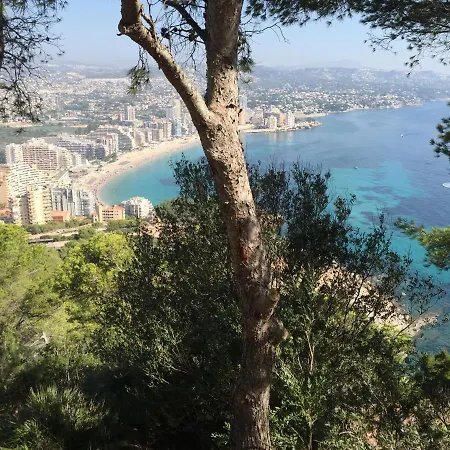 Apartmán Mesana 102 / Penthouse