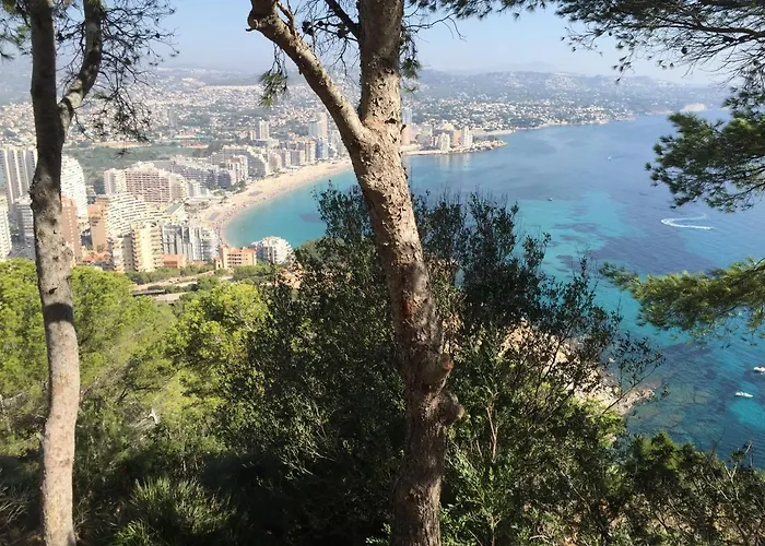 Appartement Mesana 102 / Penthouse